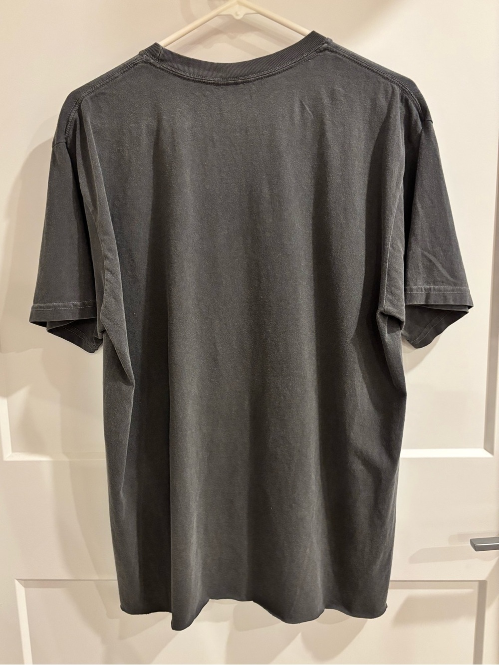 Steely Dan t-shirt, men’s size L *cropped hem* - Picture 8 of 8
